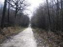 route de l'étang d'Or